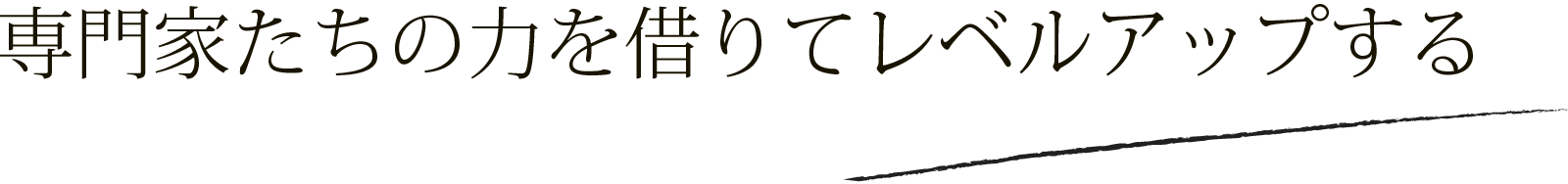専門家たちの力を借りてレベルアップする
